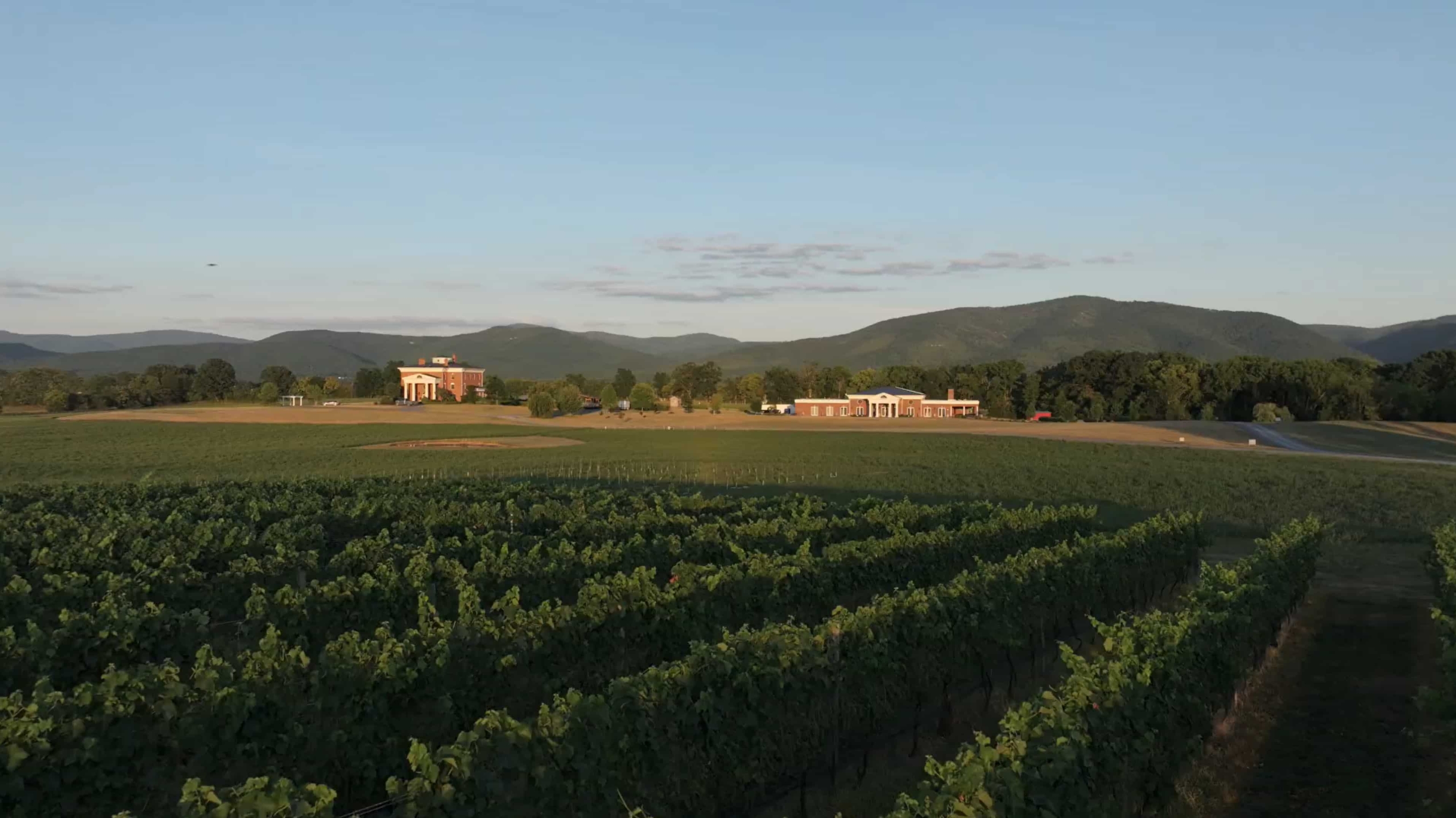 Brix & Columns Vineyards
